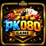 PK080 Game
