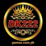 DK222 Game